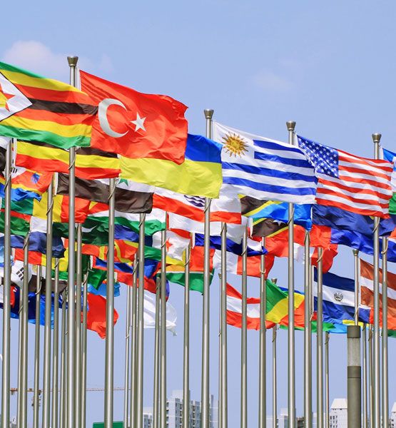 SEND FLAG